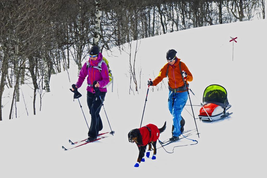 Eriksgardens Fjaellhotell Funäsdalen Dış mekan fotoğraf